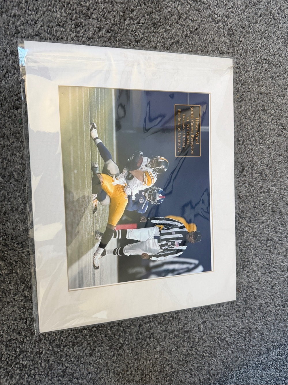 Hines ward professional photograph